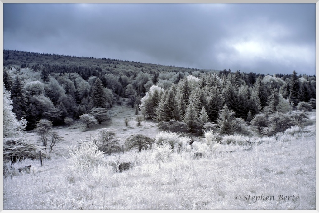 Nature_Landscape_TMI Landscape_9545