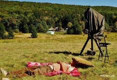 AHSP Event_Landscape_DSC_0073
