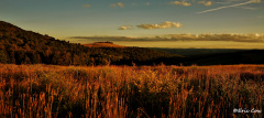 Nature_Landscape_DSC_0117