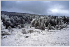 Nature_Landscape_TMI Landscape_9545