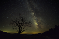 Milky Way over AHSP, by Chris Lee