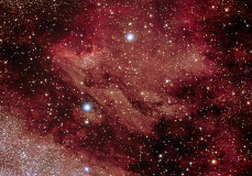 Pelican Nebula, by Sean Mathews
